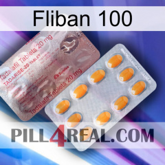 Fliban 100 new13